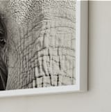 "Hadari" - Art Print in Black and White by Sara Heilwagen - Frame Close-up