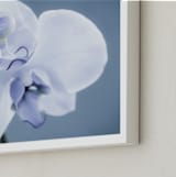 "Orchid Beauty" - Art Print in Violet Blue by Debra Butler - Frame Close-up