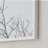 "Frost 4" - Art Print in black & white by Ardell McLennan - Frame Close-up