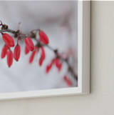 "Winter Jewels" - Art Print in Berry Red by Karen Kaul - Frame Close-up
