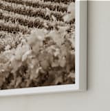 "Vineyard Seasons: June  No. 1" - Art Print in Warm Sepia by Shannon Howard - Frame Close-up