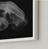 "Graceful Jelly" - Art Print in Smolder Black by Hollie Renner Photography - Frame Close-up