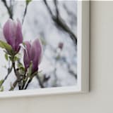 "Sugar Magnolia" - Art Print in Magnolia Pink by Karen Kaul - Frame Close-up