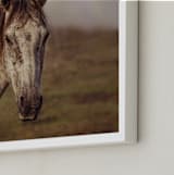 "Gazing Beauty" - Art Print in Toasty by Hollie Renner Photography - Frame Close-up