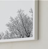"Frosted Afternoon" - Art Print in Frosted White by Three Wings North - Frame Close-up