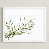 "Sun seeking" - Art Print in Green by Eliane Lamb - Framed