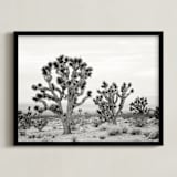 "Joshua Tree" - Art Print in joshua tree gray by Kristi Jackson - Framed