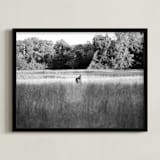 "Open Field" - Art Print in Black & White by Hannah Graham - Framed
