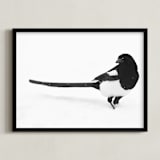 "Magpie" - Art Print in black bird by Leslie Le Coq - Framed