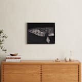 "Majestic Humpback Whale" - Art Print in Deep Sea by Sabrin Deirani - In a Room