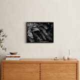 "Ferns" - Art Print in black and white by Eliane Lamb - In a Room