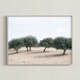 "Casting Shade" - Art Print in Sage by Courtney Crane - Framed