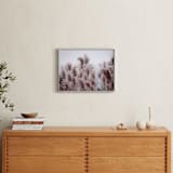"Plumose" - Art Print in Natural by Robin Ott - In a Room