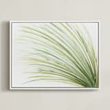 "Tall Grass Watercolor" - Art Print in Naturally Green by Loree Mayer - Framed Canvas