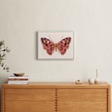 "Paper Wings" - Art Print in Peach Sunset by Sarah Knight - In a Room