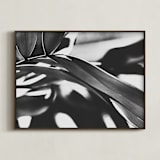 "GLOWING BOTANICAL II" - Art Print in BLACK AND WHITE by Amy Chapman Braun - Framed