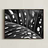 "Peek A Boo" - Art Print in black and white by Amy Chapman Braun - Framed