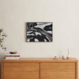 "GLOWING BOTANICAL II" - Art Print in BLACK AND WHITE by Amy Chapman Braun - In a Room