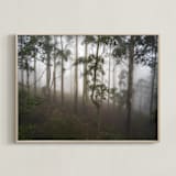 "Trees in the Mist" - Art Print in Fog White by Benno and Noosa - Framed