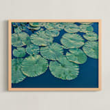 "Painted Lily Pads" - Art Print in Lily Pad by Jessica C Nugent - Framed