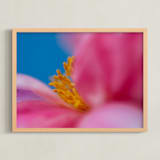 "Spring Peonies" - Art Print in Peony Pink by Elena Kulikova - Framed