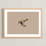 "Mallards in Flight 1" - Art Print in Neutral by Anee Shah - Framed