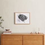 "Ball Game" - Art Print in ball by Lindsay Kelly Art - In a Room