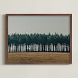 "Moody Trees" - Art Print in Pine by Zani van Zyl - Framed