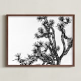 "Joshua Tree in September" - Art Print in Charcoal by Katie Doherty - Framed