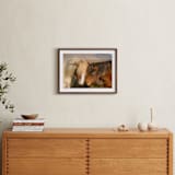 "Icelandic Horses II" - Art Print in Golden by Crystal Lynn Collins - In a Room