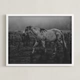 "Frolicking Fille" - Art Print in Charcoal Black by Hollie Renner Photography - Framed