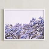 "Jacaranda in bloom" - Art Print in lavender by Owl and Toad - Framed