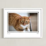 "Artifact: Landscape Framed Photo" - Framed Photo in Charcoal by Snow and Ivy - Framed