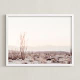"Ocotillo II" - Art Print in morning blush by Kamala Nahas - Framed