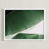 "leaf & light 1" - Art Print in deep ocean green by Alicia Abla - Framed