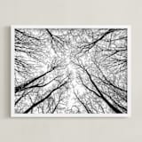 "Lost in the forest" - Art Print in Black and White by Magdalena Kucova - Framed