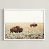 "Bison" - Art Print in Mustard by Kamala Nahas - Framed