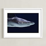 "Deep Blue" - Art Print in Steel Blue by Hollie Renner Photography - Framed