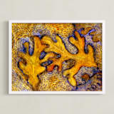 "Glorious Autumn Oaks" - Art Print in Golden Yellow by Amelia Gluba - Framed