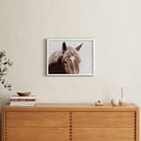 "Belgian Beauty" - Art Print in Chestnut by Robin Ott - In a Room