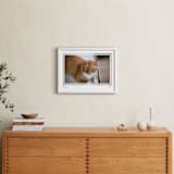 "Artifact: Landscape Framed Photo" - Framed Photo in Charcoal by Snow and Ivy - In a Room