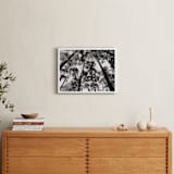 "In the Woods" - Art Print in black and white by lulu and isabelle - In a Room