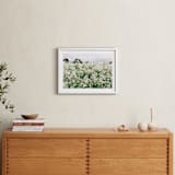 "Dream Field" - Art Print in Garden by Morgan Kendall - In a Room