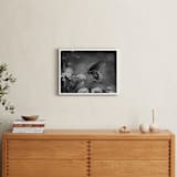 "Black Swallowtail" - Art Print in black by Donna Rosser - In a Room