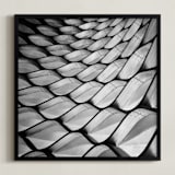 "Honeycomb" - Art Print in Black & white by Angie McMonigal - Framed