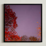 "Hot Stars" - Art Print in Cosmic Mauve by Jeff Preuss - Framed