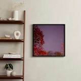 "Hot Stars" - Art Print in Cosmic Mauve by Jeff Preuss - In a Room