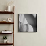 "Basking" - Art Print in Black and white by Catherine Culvenor - In a Room