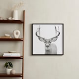 "Buck" - Art Print in Black and White by Stephanie Sherman - In a Room