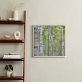"Summer Birches" - Art Print in forest green by Amy Hall - In a Room